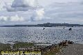 Chemainus